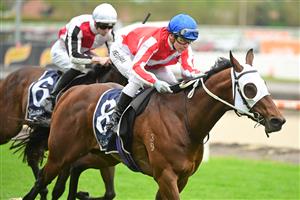 MELBOURNE, AUSTRALIA - OCTOBER 12: Ben Melham riding Grand Impact winning Race 7, Catanach's Jewellers Blue Sapphire Stakes, during Caulfield Thousand Guineas Day at Caulfield Racecourse on October 12, 2022 in Melbourne, Australia. (Getty)