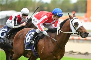 MELBOURNE, AUSTRALIA - OCTOBER 12: Ben Melham riding Grand Impact winning Race 7, the Catanach