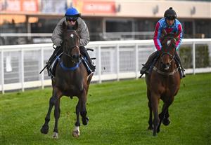 MELBOURNE, AUSTRALIA - OCTOBER 11: Craig Williams riding Palaisipan (L) during a trackwork session ahead of the Caulfield Cup at Caulfield Racecourse on October 11, 2022 in Melbourne, Australia. (Photo by Vince Caligiuri/Getty Images)