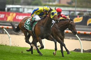 MELBOURNE, AUSTRALIA - OCTOBER 12: Ethan Brown riding Port Phillip (r) defeats Damien Oliver riding Kissinger in Race 2, the Evergreen Turf Handicap, during Caulfield Thousand Guineas Day at Caulfield Racecourse on October 12, 2022 in Melbourne, Australia. (Photo by Vince Caligiuri/Getty Images)