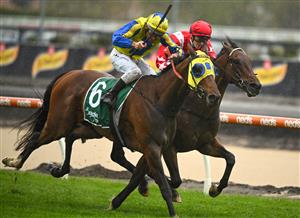 MELBOURNE, AUSTRALIA - OCTOBER 12: Ethan Brown riding Port Phillip (r) defeats Damien Oliver riding Kissinger in Race 2, the Evergreen Turf Handicap, during Caulfield Thousand Guineas Day at Caulfield Racecourse on October 12, 2022 in Melbourne, Australia. (Photo by Vince Caligiuri/Getty Images)