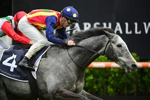 MELBOURNE, AUSTRALIA - OCTOBER 12: John Allen riding Ascension defeats Chad Schofield riding Eluding in Race 6, the Marshall White Trophy, during Caulfield Thousand Guineas Day at Caulfield Racecourse on October 12, 2022 in Melbourne, Australia. (Photo by Vince Caligiuri/Getty Images)