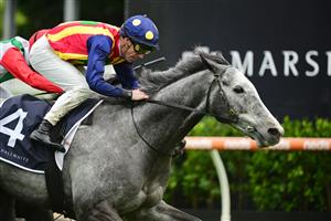 MELBOURNE, AUSTRALIA - OCTOBER 12: John Allen riding Ascension defeats Chad Schofield riding Eluding in Race 6, the Marshall White Trophy, during Caulfield Thousand Guineas Day at Caulfield Racecourse on October 12, 2022 in Melbourne, Australia. (Photo by Vince Caligiuri/Getty Images)