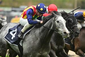 MELBOURNE, AUSTRALIA - OCTOBER 12: John Allen riding Ascension defeats Chad Schofield riding Eluding in Race 6, the Marshall White Trophy, during Caulfield Thousand Guineas Day at Caulfield Racecourse on October 12, 2022 in Melbourne, Australia. (Photo by Vince Caligiuri/Getty Images)