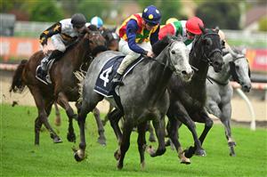 MELBOURNE, AUSTRALIA - OCTOBER 12: John Allen riding Ascension defeats Chad Schofield riding Eluding in Race 6, the Marshall White Trophy, during Caulfield Thousand Guineas Day at Caulfield Racecourse on October 12, 2022 in Melbourne, Australia. (Photo by Vince Caligiuri/Getty Images)