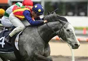 MELBOURNE, AUSTRALIA - OCTOBER 12: John Allen riding Ascension defeats Chad Schofield riding Eluding in Race 6, the Marshall White Trophy, during Caulfield Thousand Guineas Day at Caulfield Racecourse on October 12, 2022 in Melbourne, Australia. (Photo by Vince Caligiuri/Getty Images)