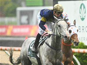 MELBOURNE, AUSTRALIA - OCTOBER 12: Jordan Childs riding White Marlin winning Race 4, the Tobin Brothers Celebrating Lives,  during Caulfield Thousand Guineas Day at Caulfield Racecourse on October 12, 2022 in Melbourne, Australia. (Photo by Vince Caligiuri/Getty Images)