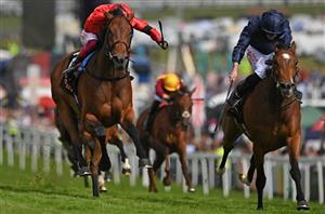 2022 Champions Fillies & Mares Odds - Emily Upjohn favourite on Champions Day