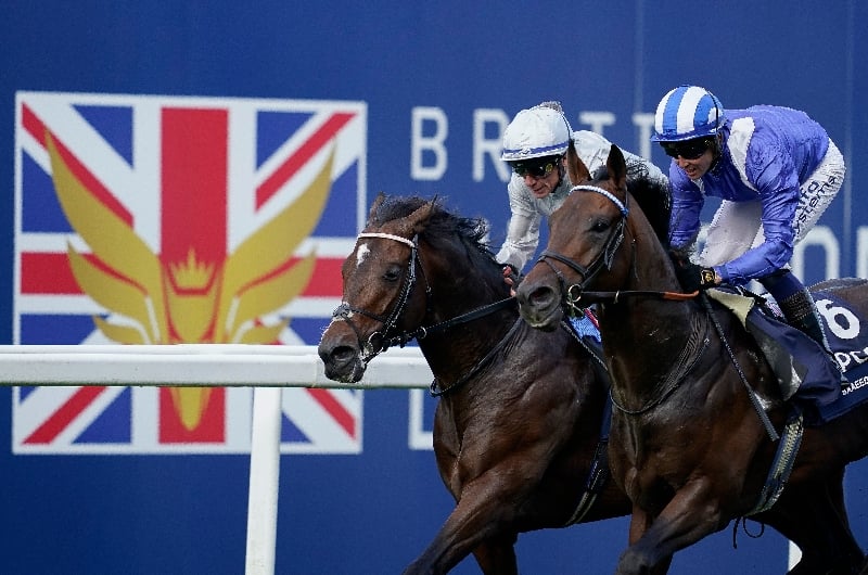champion stakes ascot 2022 betting online
