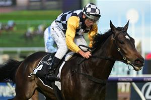 Kyneton cup bettingadvice bitcoin top up