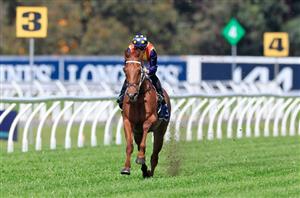The Everest Tips & Runner-by-Runner Preview