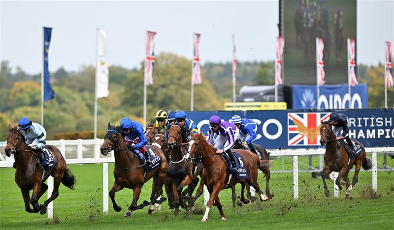 When is British Champions Day 2023?