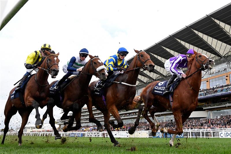 Eventual winner, jockey Hollie Doyle on Trueshan (2nd R) between horses on the first lap of the Long Distance Cup on Qipco British Champions Day at Ascot Racecourse, west of London on October 15, 2022. - Champions day is the finale of the British flat racing season and the UK's richest raceday. (Photo by Glyn KIRK / AFP) (Photo by GLYN KIRK/AFP via Getty Images)