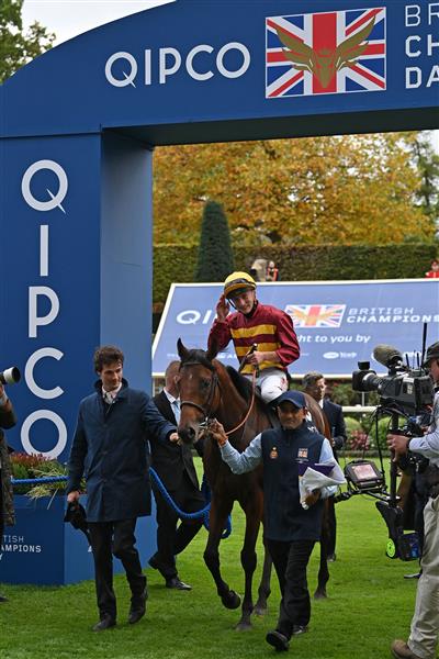 British jockey Tom Marquand returns to the winner's enclosure on  Bayside Boy after victory in the Queen Elizabeth II Stakes on Qipco British Champions Day at Ascot Racecourse, west of London on October 15, 2022. - Champions day is the finale of the British flat racing season and the UK's richest raceday. (Photo by Glyn KIRK / AFP) (Photo by GLYN KIRK/AFP via Getty Images)