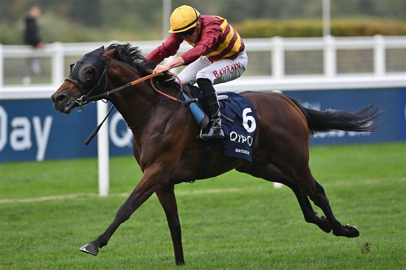 British jockey Tom Marquand rides Bayside Boy to victory in the Queen Elizabeth II Stakes on Qipco British Champions Day at Ascot Racecourse, west of London on October 15, 2022. - Champions day is the finale of the British flat racing season and the UK's richest raceday. (Photo by Glyn KIRK / AFP) (Photo by GLYN KIRK/AFP via Getty Images)