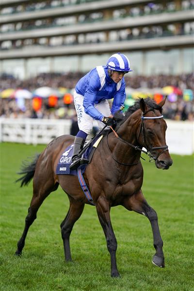 ASCOT, ENGLAND - OCTOBER 15: Jim Crowley riding Baaeed to the start at Ascot Racecourse on October 15, 2022 in Ascot, England. (Photo by Alan Crowhurst/Getty Images)