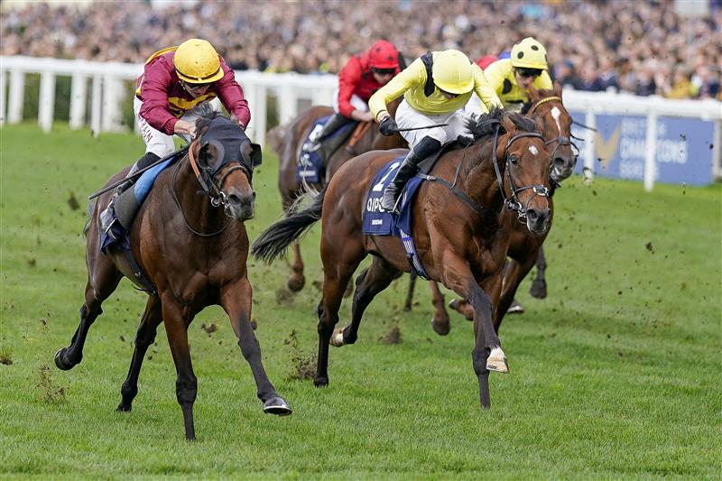 ASCOT, ENGLAND - OCTOBER 15: Tom Marquand riding Bayside Boy win The Queen Elizabeth II Stakes at Ascot Racecourse on October 15, 2022 in Ascot, England. (Photo by Alan Crowhurst/Getty Images)