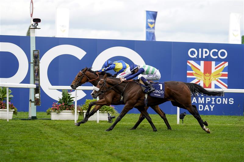 ASCOT, ENGLAND - OCTOBER 15: Hollie Doyle riding Trueshan (L) win The Qipco British Champions Long Distance Cup from Coltraneat Ascot Racecourse on October 15, 2022 in Ascot, England. (Photo by Alan Crowhurst/Getty Images)