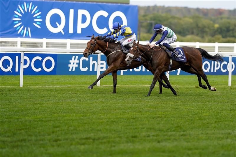 ASCOT, ENGLAND - OCTOBER 15: Hollie Doyle riding Trueshan (L) win The Qipco British Champions Long Distance Cup from Coltraneat Ascot Racecourse on October 15, 2022 in Ascot, England. (Photo by Alan Crowhurst/Getty Images)