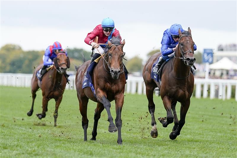 ASCOT, ENGLAND - OCTOBER 15: Richard Kingscote riding Bay Bridge (red) win The Qipco Champion Stakes at Ascot Racecourse on October 15, 2022 in Ascot, England. (Photo by Alan Crowhurst/Getty Images)