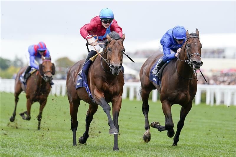 ASCOT, ENGLAND - OCTOBER 15: Richard Kingscote riding Bay Bridge (red) win The Qipco Champion Stakes at Ascot Racecourse on October 15, 2022 in Ascot, England. (Photo by Alan Crowhurst/Getty Images)