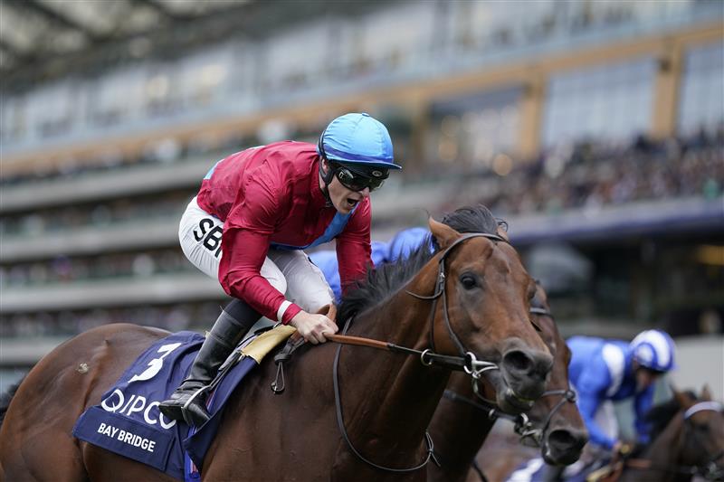 ASCOT, ENGLAND - OCTOBER 15: Richard Kingscote shouts as he rides Bay Bridge to win The Qipco Champion Stakes at Ascot Racecourse on October 15, 2022 in Ascot, England. (Photo by Alan Crowhurst/Getty Images)