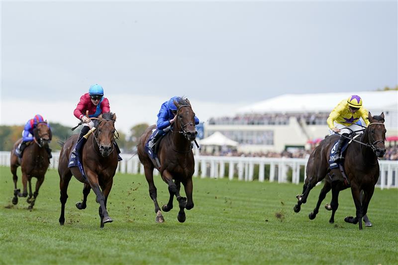 ASCOT, ENGLAND - OCTOBER 15: Richard Kingscote riding Bay Bridge (red) win The Qipco Champion Stakes at Ascot Racecourse on October 15, 2022 in Ascot, England. (Photo by Alan Crowhurst/Getty Images)