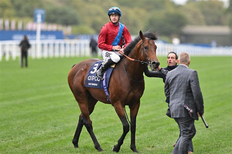British jockey Richard Kingscote on Bay Bridge after victory in the Champion Stakes on Qipco British Champions Day at Ascot Racecourse, west of London on October 15, 2022. - Champions day is the finale of the British flat racing season and the UK's richest raceday. (Photo by Glyn KIRK / AFP) (Photo by GLYN KIRK/AFP via Getty Images)