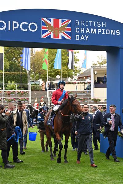 British jockey Richard Kingscote returns to the winner's enclosure on Bay Bridge after victory in the Champion Stakes on Qipco British Champions Day at Ascot Racecourse, west of London on October 15, 2022. - Champions day is the finale of the British flat racing season and the UK's richest raceday. (Photo by Glyn KIRK / AFP) (Photo by GLYN KIRK/AFP via Getty Images)