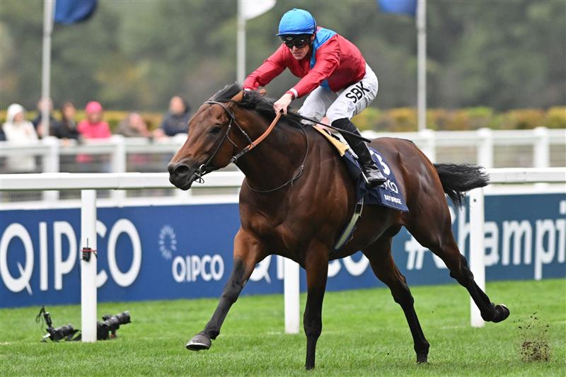 British jockey Richard Kingscote rides Bay Bridge to victory in the Champion Stakes on Qipco British Champions Day at Ascot Racecourse, west of London on October 15, 2022. - Champions day is the finale of the British flat racing season and the UK's richest raceday. (Photo by Glyn KIRK / AFP) (Photo by GLYN KIRK/AFP via Getty Images)