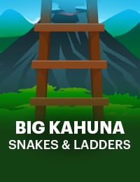 Big Kahuna Snakes And Ladders Slot