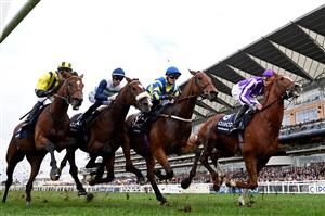 Eventual winner, jockey Hollie Doyle on Trueshan (2nd R) between horses on the first lap of the Long Distance Cup on Qipco British Champions Day at Ascot Racecourse, west of London on October 15, 2022. - Champions day is the finale of the British flat racing season and the UK's richest raceday. (Photo by Glyn KIRK / AFP) (Photo by GLYN KIRK/AFP via Getty Images)