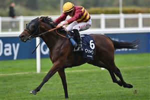 British jockey Tom Marquand rides Bayside Boy to victory in the Queen Elizabeth II Stakes on Qipco British Champions Day at Ascot Racecourse, west of London on October 15, 2022. - Champions day is the finale of the British flat racing season and the UK's richest raceday. (Photo by Glyn KIRK / AFP) (Photo by GLYN KIRK/AFP via Getty Images)