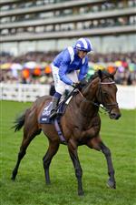 ASCOT, ENGLAND - OCTOBER 15: Jim Crowley riding Baaeed to the start at Ascot Racecourse on October 15, 2022 in Ascot, England. (Photo by Alan Crowhurst/Getty Images)