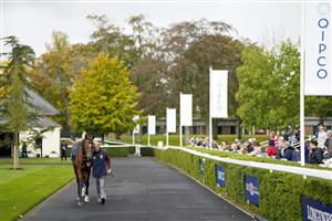 ASCOT, ENGLAND - OCTOBER 15: In the pre parade ring at Ascot Racecourse on October 15, 2022 in Ascot, England. (Photo by Alan Crowhurst/Getty Images)
