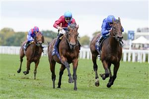 ASCOT, ENGLAND - OCTOBER 15: Richard Kingscote riding Bay Bridge (red) win The Qipco Champion Stakes at Ascot Racecourse on October 15, 2022 in Ascot, England. (Photo by Alan Crowhurst/Getty Images)
