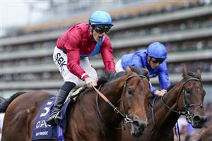 ASCOT, ENGLAND - OCTOBER 15: Richard Kingscote shouts as he rides Bay Bridge to win The Qipco Champion Stakes at Ascot Racecourse on October 15, 2022 in Ascot, England. (Photo by Alan Crowhurst/Getty Images)