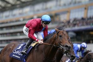 ASCOT, ENGLAND - OCTOBER 15: Richard Kingscote shouts as he rides Bay Bridge to win The Qipco Champion Stakes at Ascot Racecourse on October 15, 2022 in Ascot, England. (Photo by Alan Crowhurst/Getty Images)