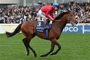 British jockey Richard Kingscote on Bay Bridge in the pre-race parade before the Champion Stakes on Qipco British Champions Day at Ascot Racecourse, west of London on October 15, 2022. - Champions day is the finale of the British flat racing season and the UK's richest raceday. (Photo by Glyn KIRK / AFP) (Photo by GLYN KIRK/AFP via Getty Images)