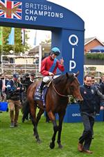 British jockey Richard Kingscote returns to the winner's enclosure on Bay Bridge after victory in the Champion Stakes on Qipco British Champions Day at Ascot Racecourse, west of London on October 15, 2022. - Champions day is the finale of the British flat racing season and the UK's richest raceday. (Photo by Glyn KIRK / AFP) (Photo by GLYN KIRK/AFP via Getty Images)