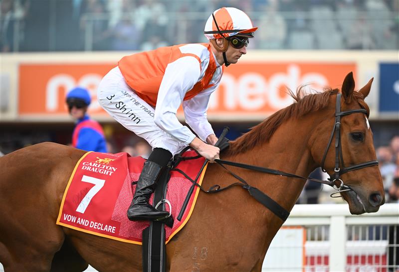 MELBOURNE, AUSTRALIA - OCTOBER 15: Vow and Declare parades before Race 9, the Carlton Draught Caulfield Cup, during Caulfield Cup Day at Caulfield Racecourse on October 15, 2022 in Melbourne, Australia. (Photo by Vince Caligiuri/Getty Images)