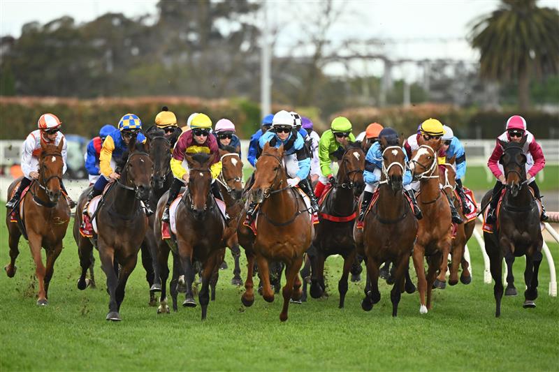 MELBOURNE, AUSTRALIA - OCTOBER 15: Horse turn into the first turn in Race 9, the Carlton Draught Caulfield Cup, during Caulfield Cup Day at Caulfield Racecourse on October 15, 2022 in Melbourne, Australia. (Photo by Vince Caligiuri/Getty Images)