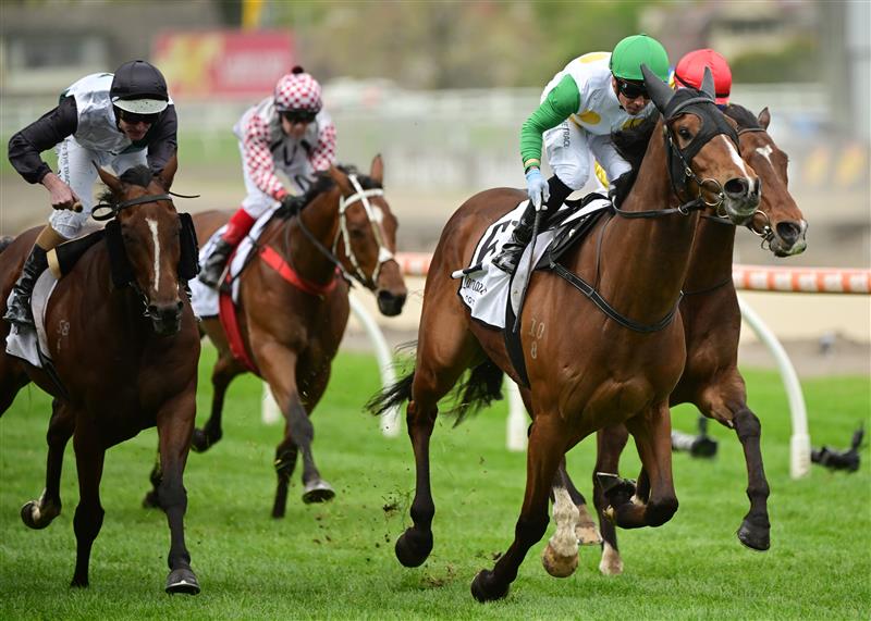 MELBOURNE, AUSTRALIA - OCTOBER 15: Dean Holland riding Saint Bathans winning Race 2, the Lamaro's Hotel Grand Handicap, during Caulfield Cup Day at Caulfield Racecourse on October 15, 2022 in Melbourne, Australia. (Getty)