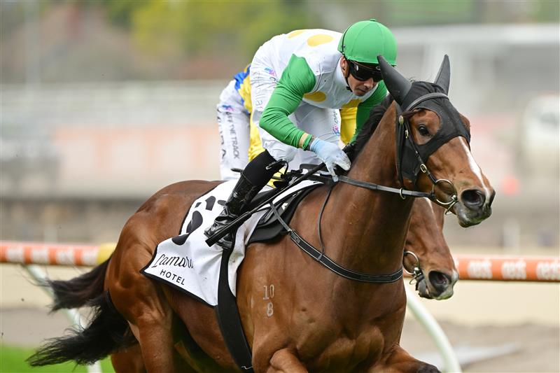 MELBOURNE, AUSTRALIA - OCTOBER 15: Dean Holland riding Saint Bathans winning Race 2, the Lamaro's Hotel Grand Handicap, during Caulfield Cup Day at Caulfield Racecourse on October 15, 2022 in Melbourne, Australia. (Getty)