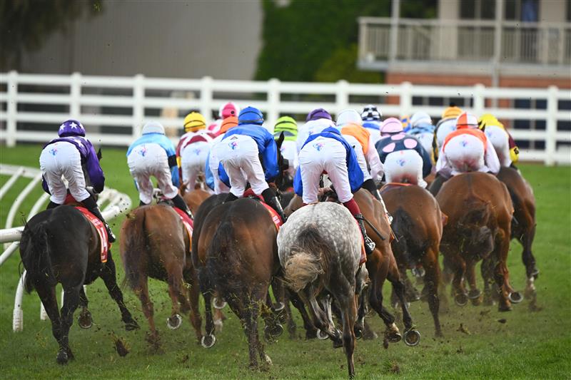 MELBOURNE, AUSTRALIA - OCTOBER 15: Horse turn into the first turn in Race 9, the Carlton Draught Caulfield Cup, during Caulfield Cup Day at Caulfield Racecourse on October 15, 2022 in Melbourne, Australia. (Photo by Vince Caligiuri/Getty Images)