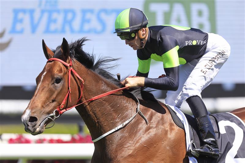 SYDNEY, AUSTRALIA - OCTOBER 15: Sam Clipperton on Stockman wins race 4 the Star St Ledger Stakes during Everest Day at Royal Randwick Racecourse on October 15, 2022 in Sydney, Australia. (Photo by Mark Evans/Getty Images)