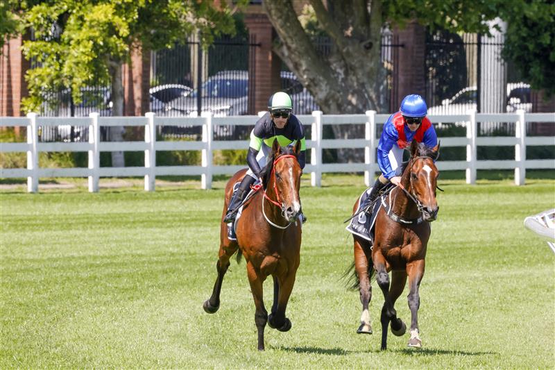 SYDNEY, AUSTRALIA - OCTOBER 15: Sam Clipperton (lime cap) on Stockman returns to scale after winning race 4 The Star St Leger Stakes during Everest Day at Royal Randwick Racecourse on October 15, 2022 in Sydney, Australia. (Photo by Jenny Evans/Getty Images)