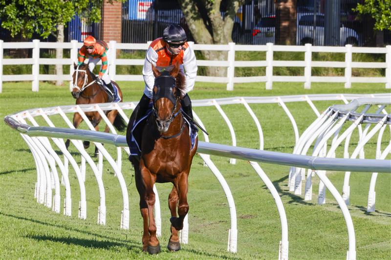 SYDNEY, AUSTRALIA - OCTOBER 15: Brenton Avdulla on Ellsberg returns to scale after winning race 9 the Five Diamonds Prelude during Everest Day at Royal Randwick Racecourse on October 15, 2022 in Sydney, Australia. (Photo by Jenny Evans/Getty Images)