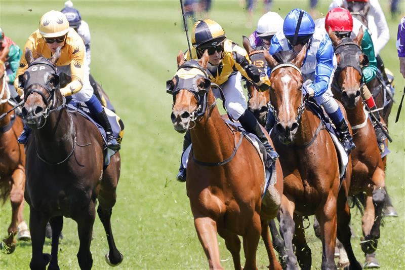 SYDNEY, AUSTRALIA - OCTOBER 15: Brenton Avdulla on A Lot More Love wins race 1 the Bisley Workwear Reginald Allen Quality during Everest Day at Royal Randwick Racecourse on October 15, 2022 in Sydney, Australia. (Photo by Jenny Evans/Getty Images)