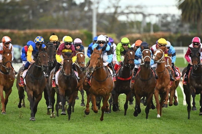 Auckland cup 2022 bettingadvice cash out cryptocurrency uk